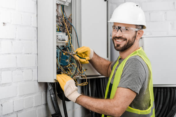 Best Ceiling Fan Installation Electrician  in Alton, TX